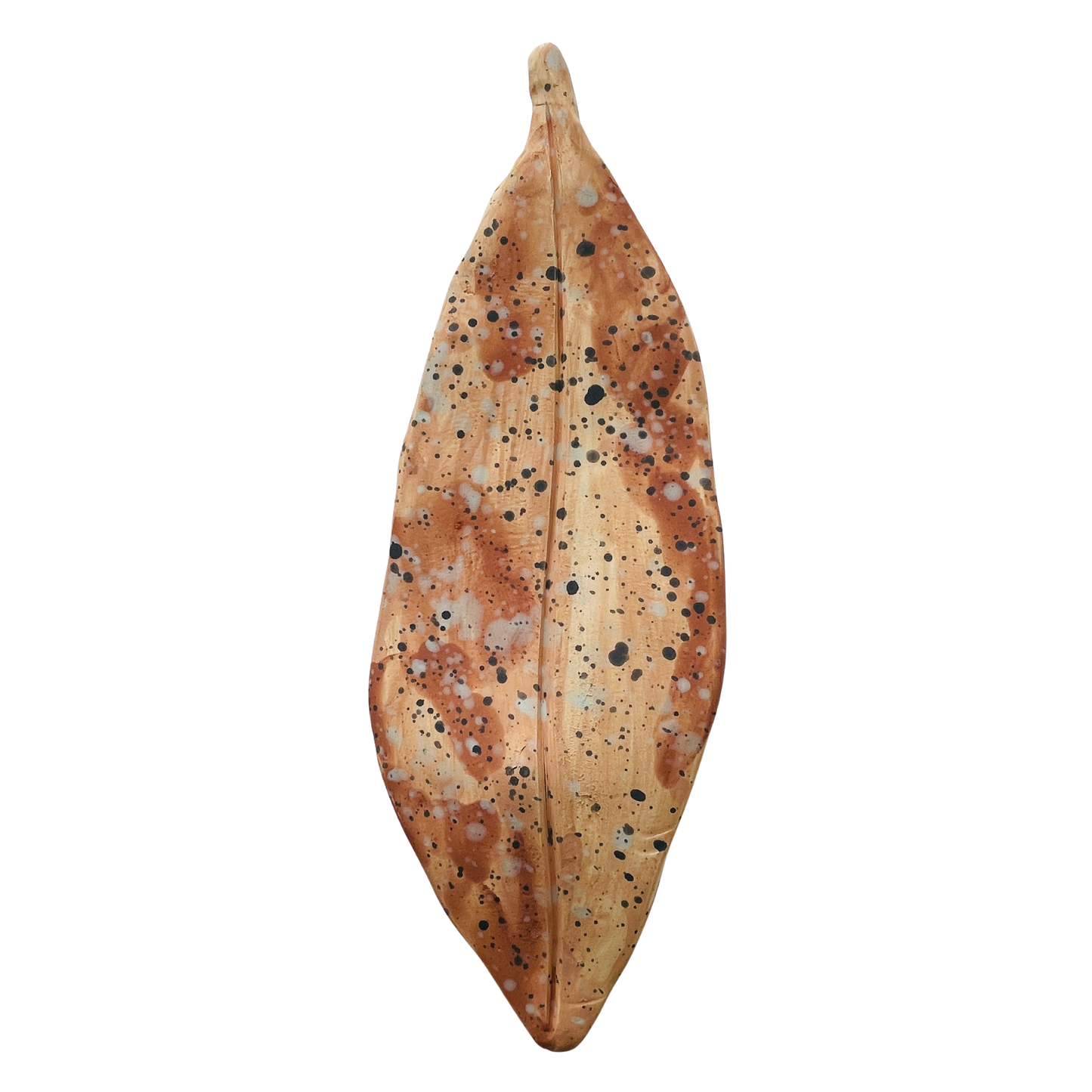 Fallen leaves - summer