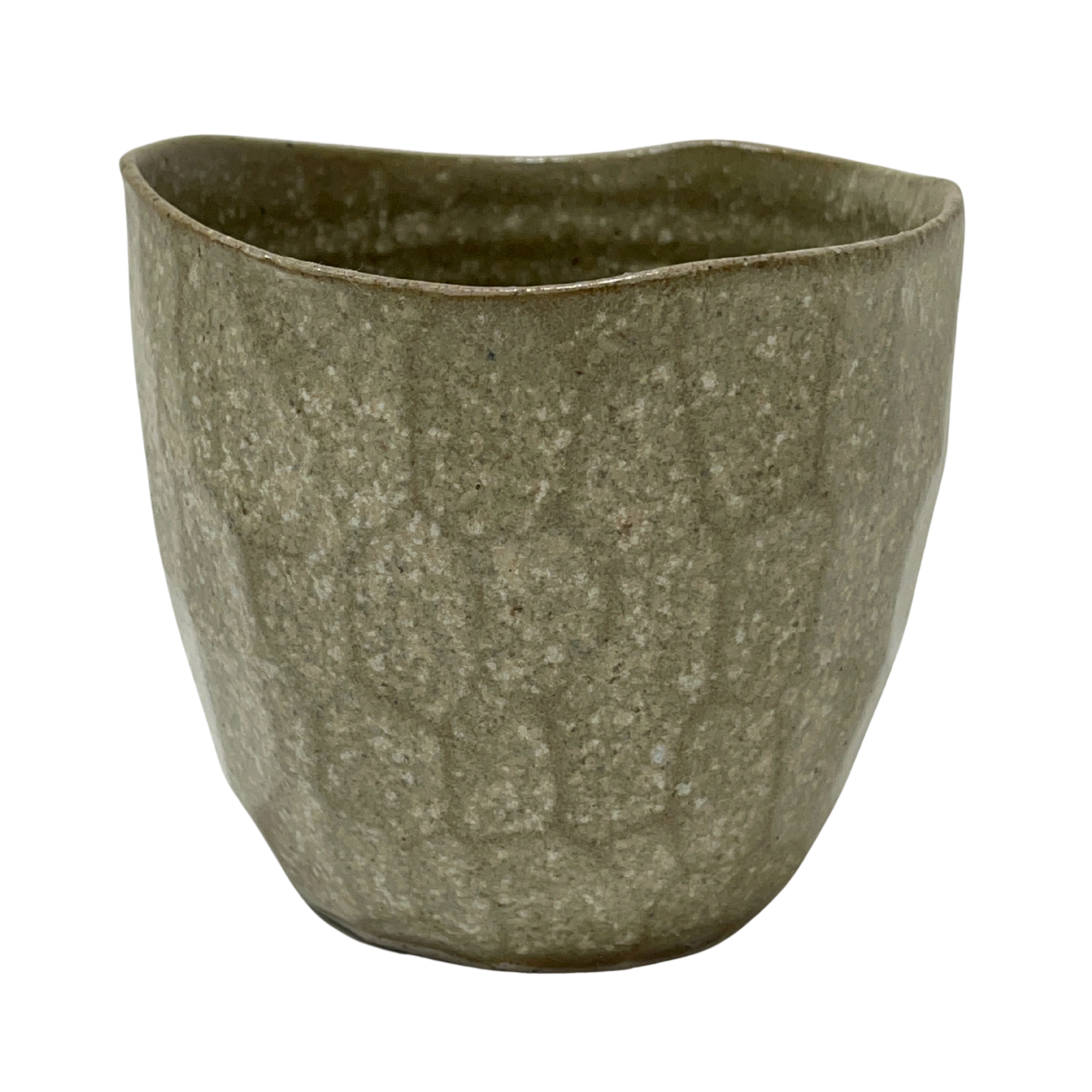Latte Cups Eucalyptus