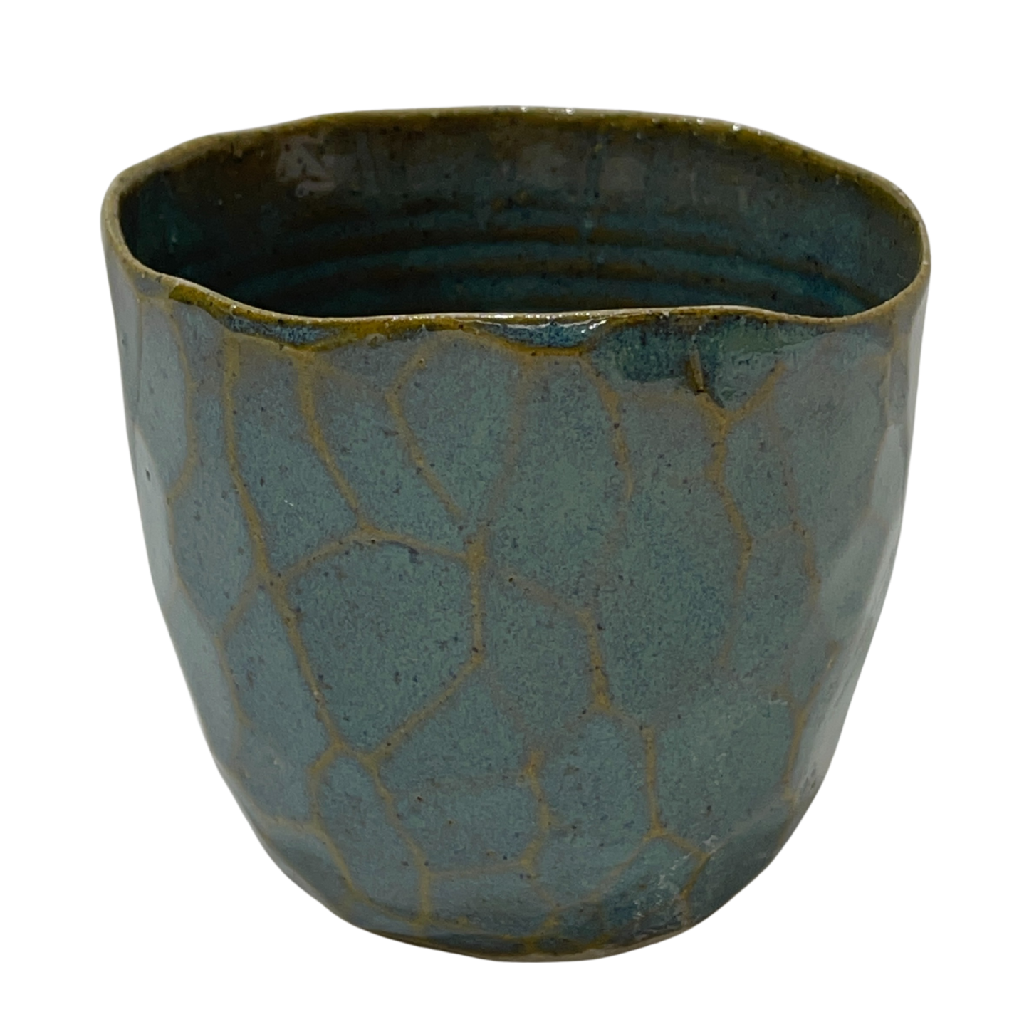 Latte Cups Turquoise