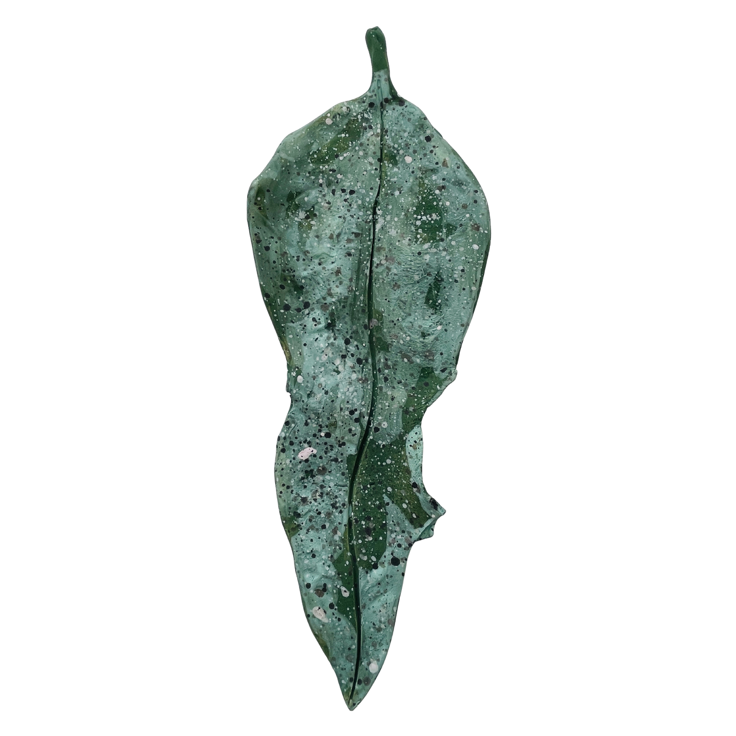 Fallen leaves - winter