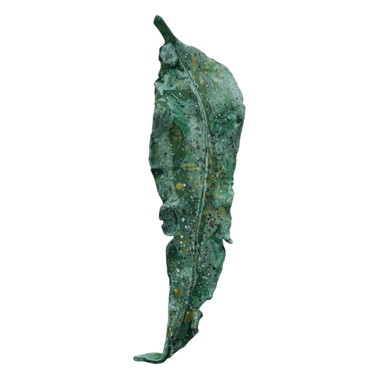 Fallen leaves - winter