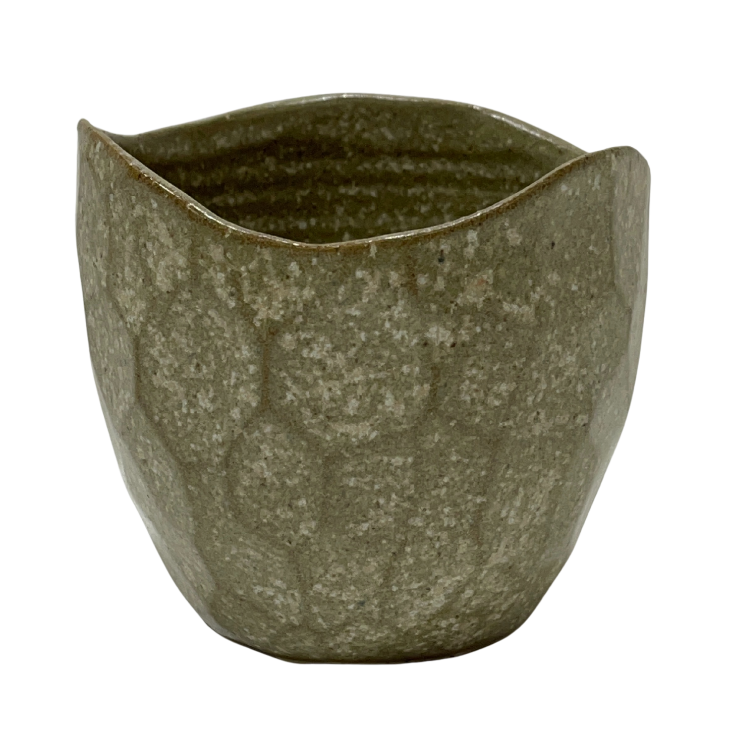 Latte Cups Eucalyptus