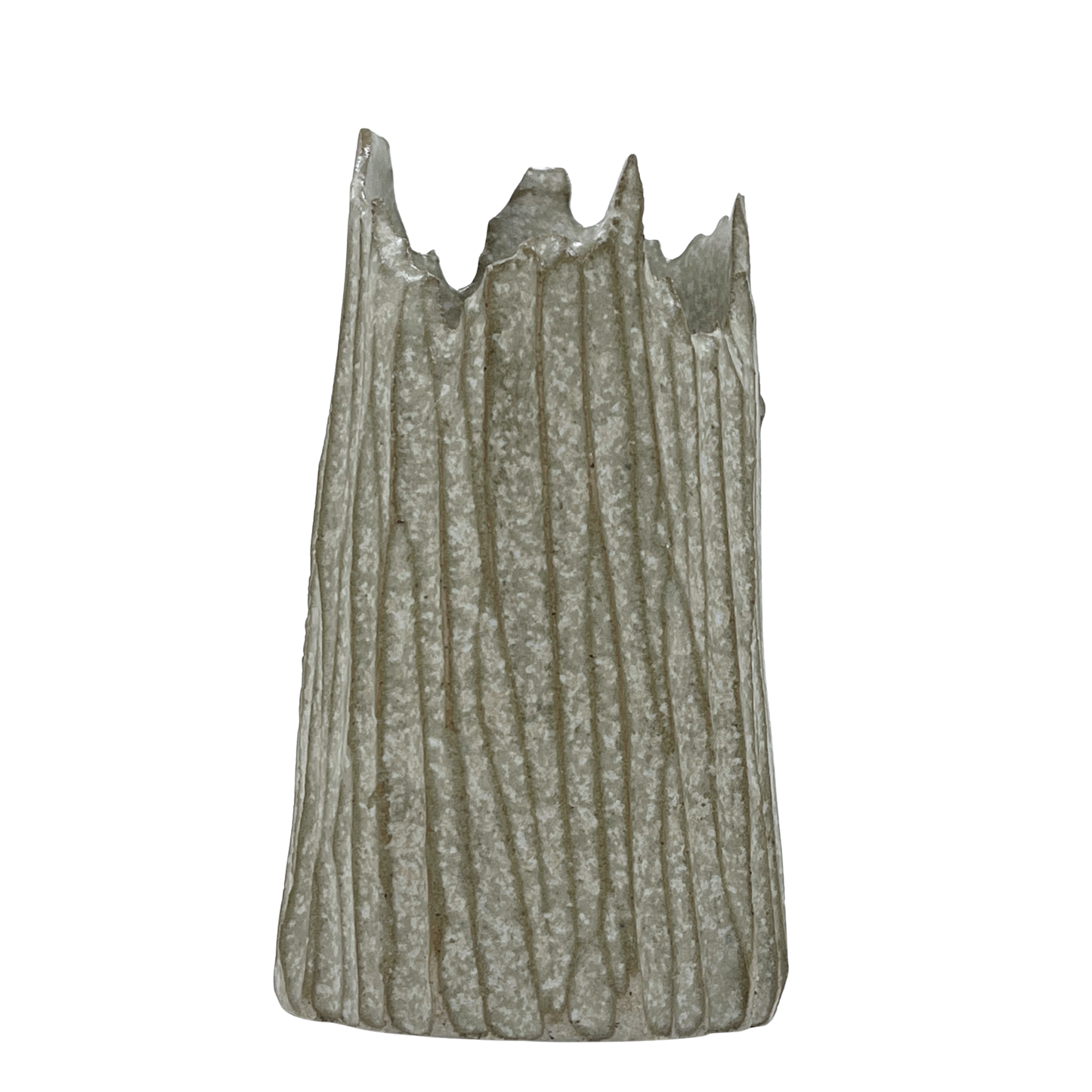Bark Vessel