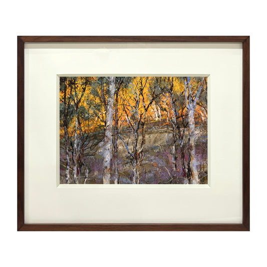 Bridle Track, afternoon