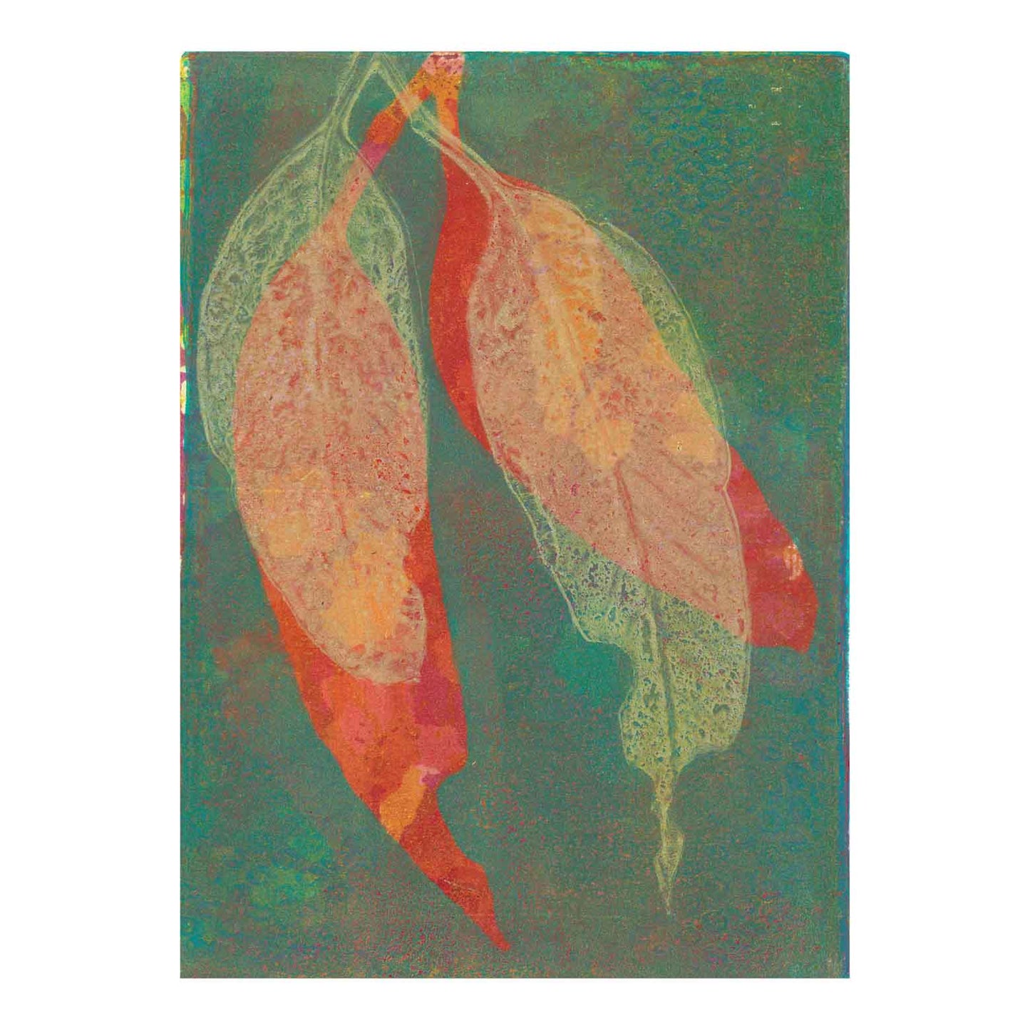 Eucalyptus Leaves II