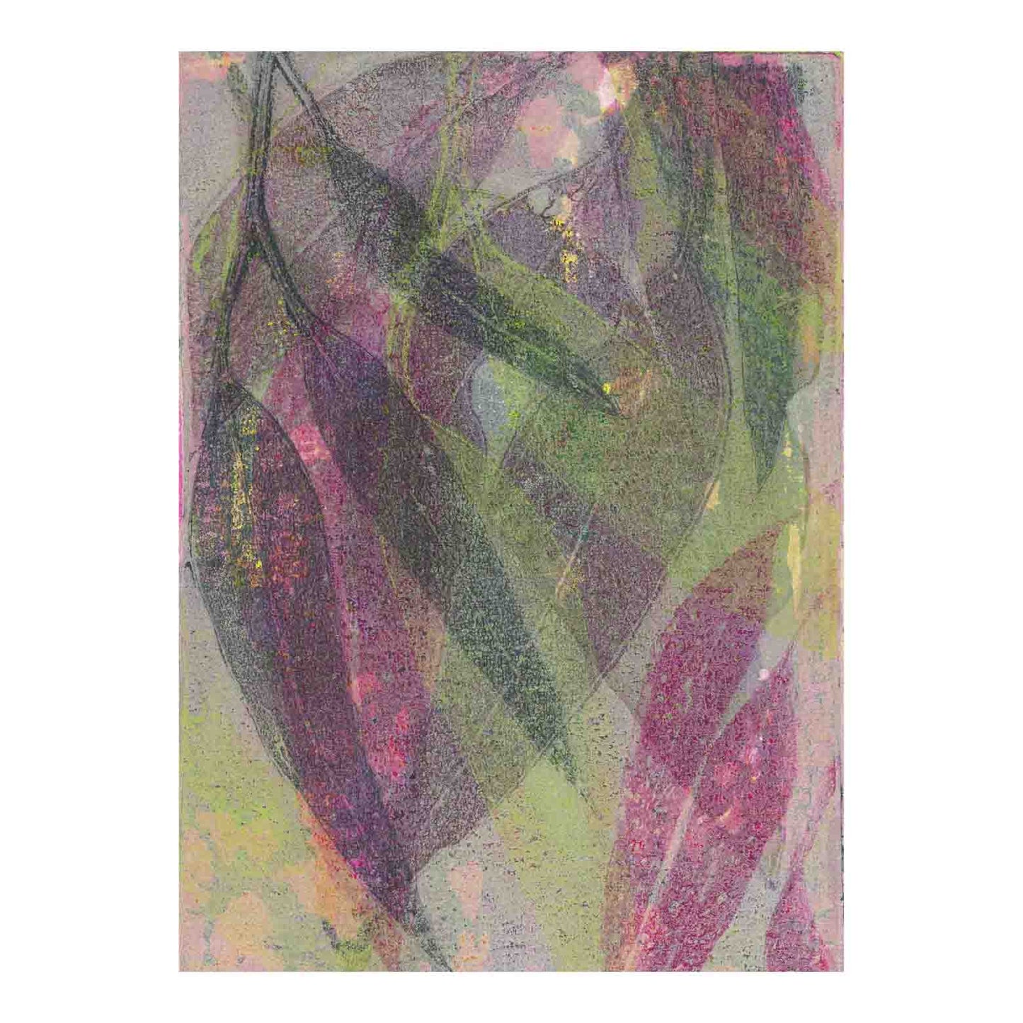 Eucalyptus Leaves III