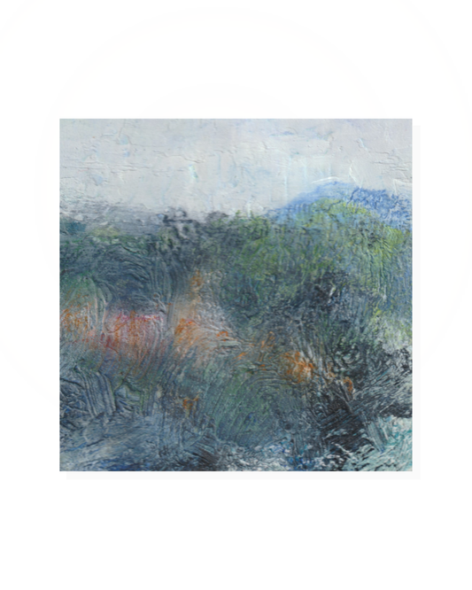 First light Wilpena I