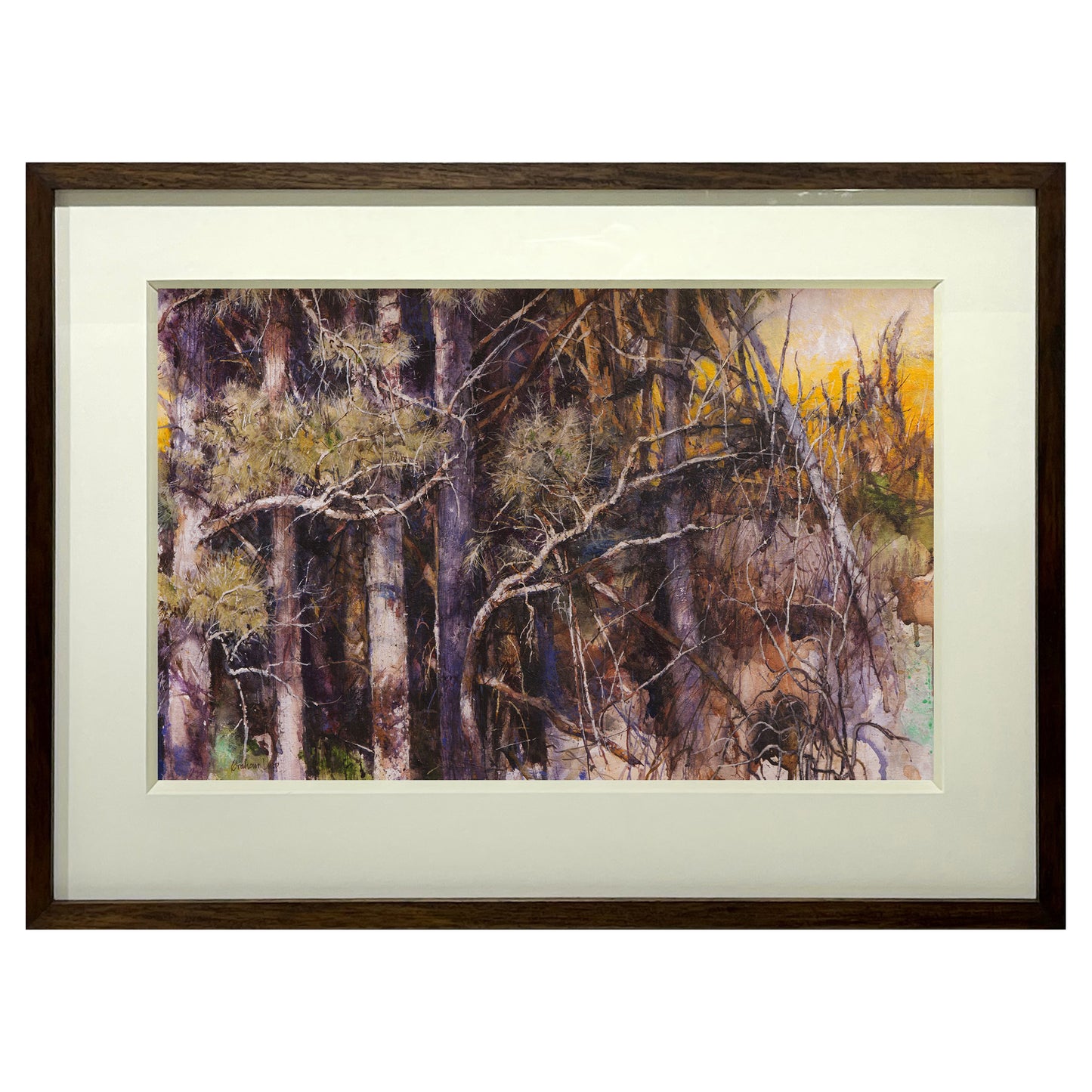 Forest's Edge