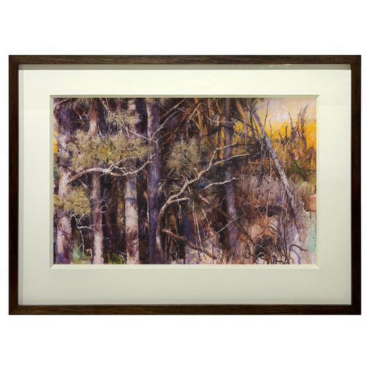 Forest's Edge