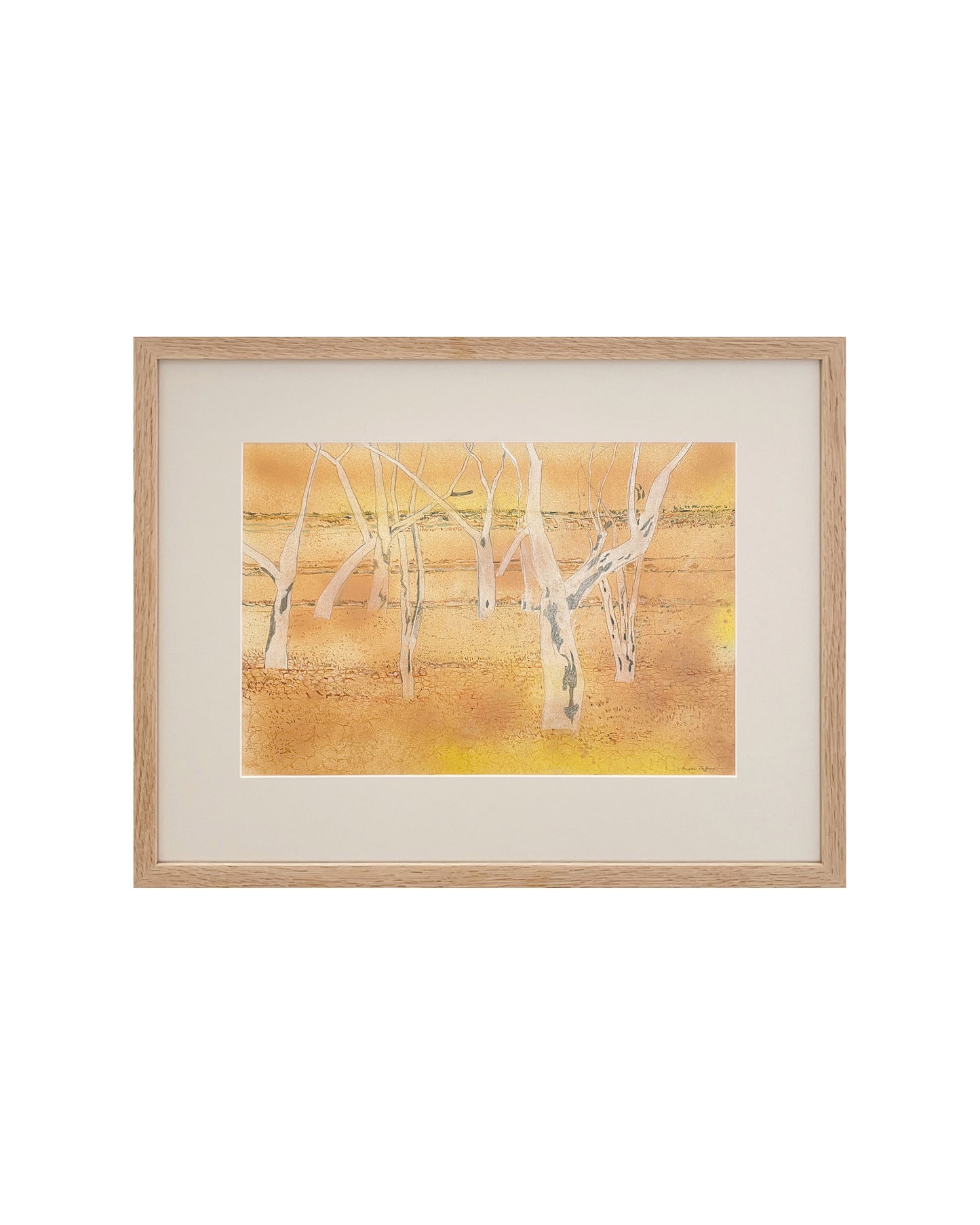 Hale River Creek Bed