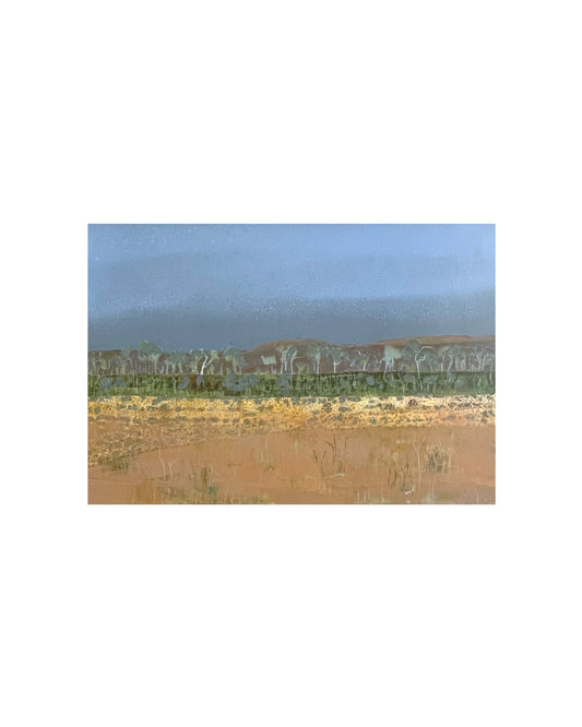 Hale River Landscape at Old Ambalindum