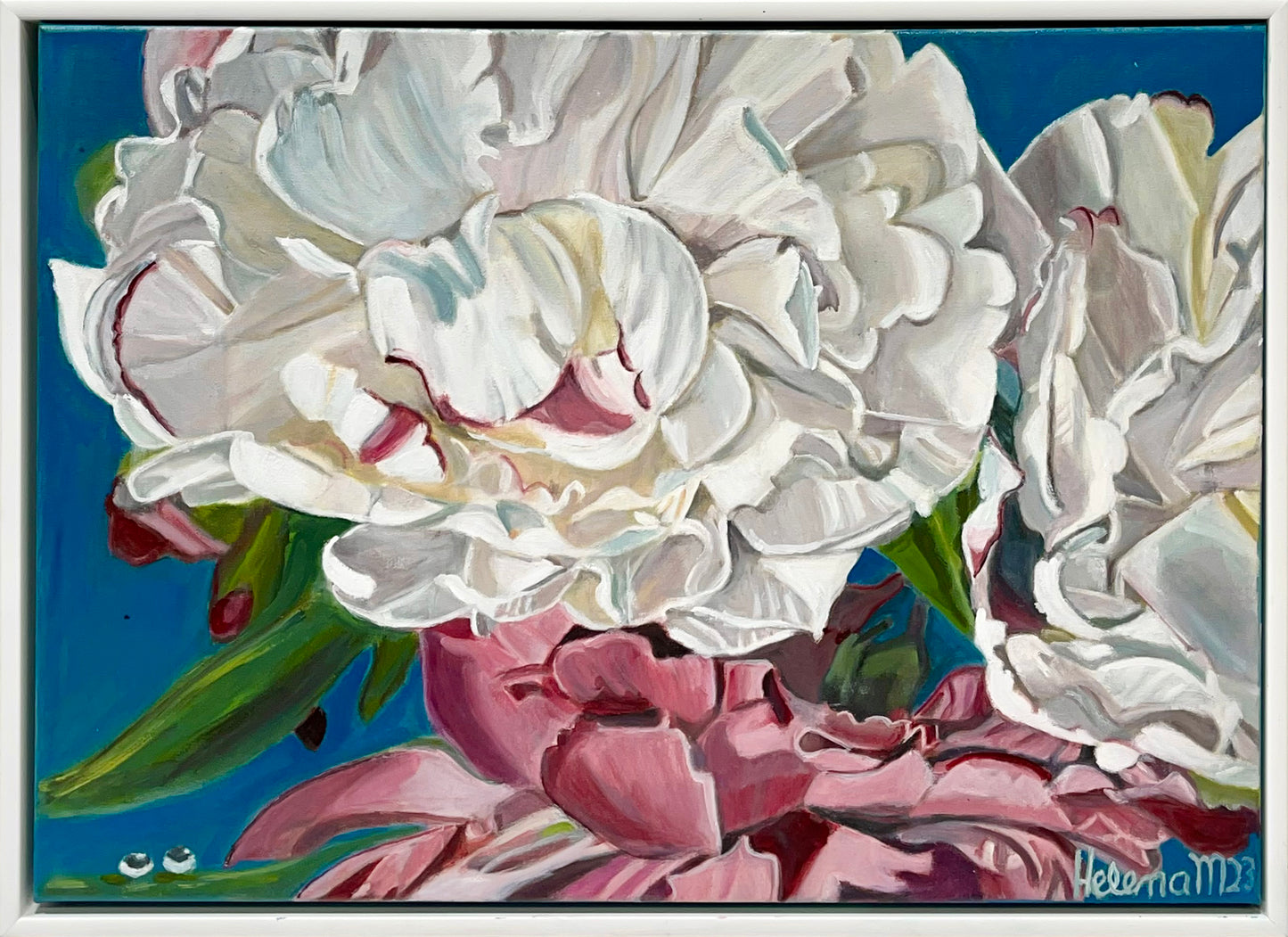 Waterdrops on Peonies - Elizabeth