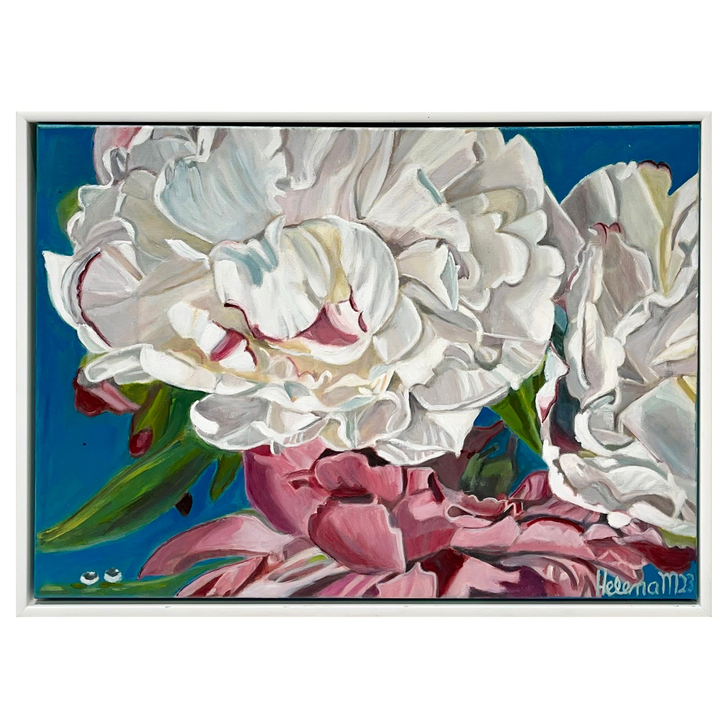 Waterdrops on Peonies - Elizabeth