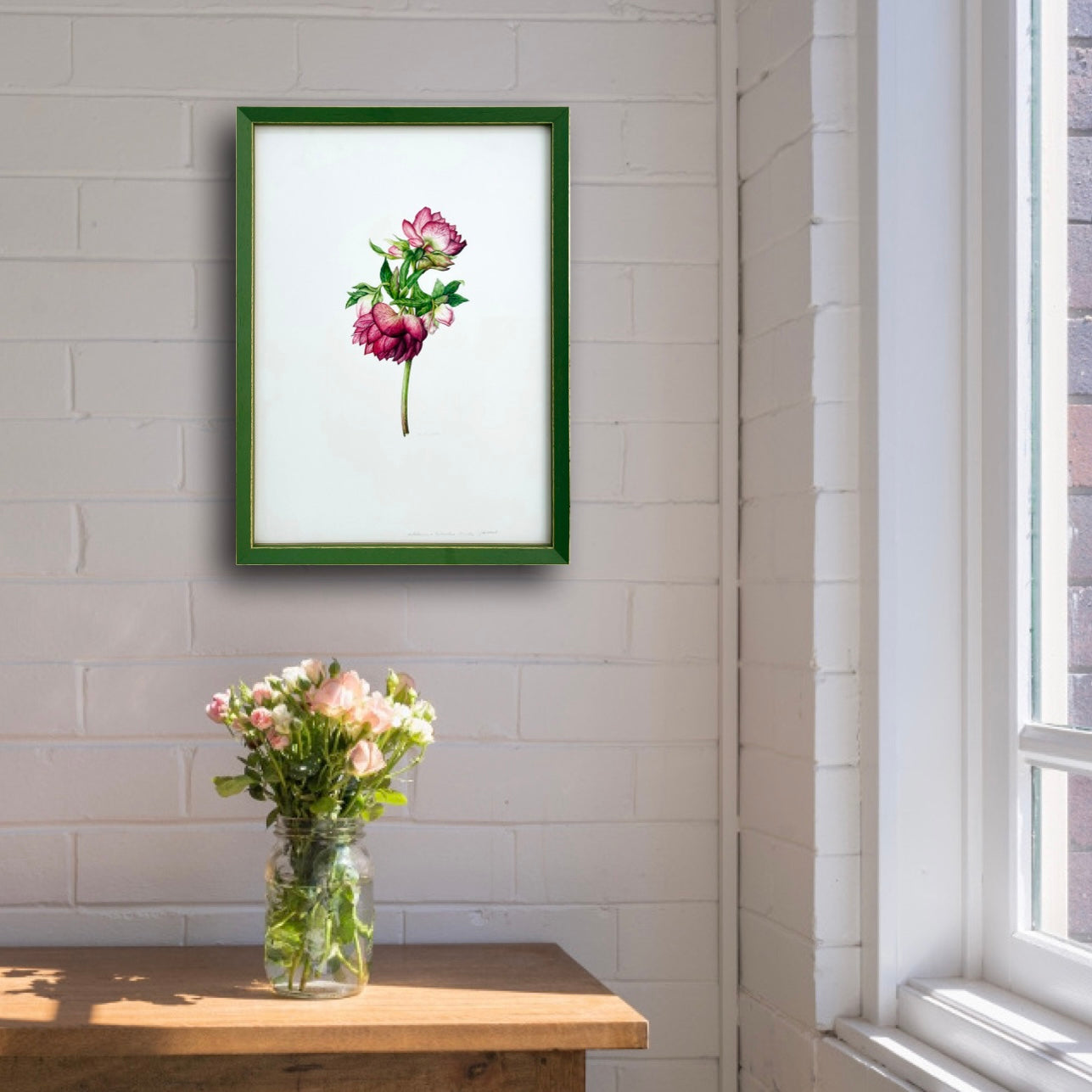 Helleborus x hybridus 'Double Painted'