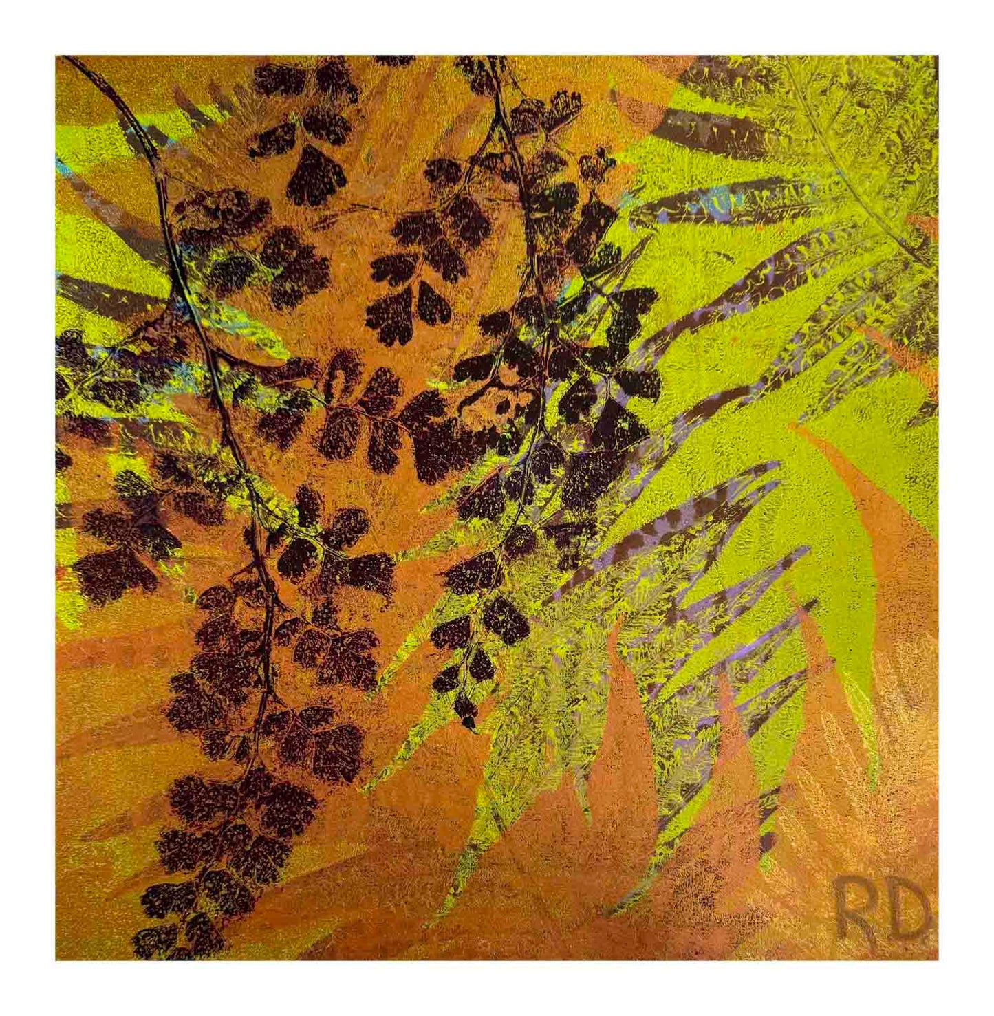 Maidenhair and Licorice Fern