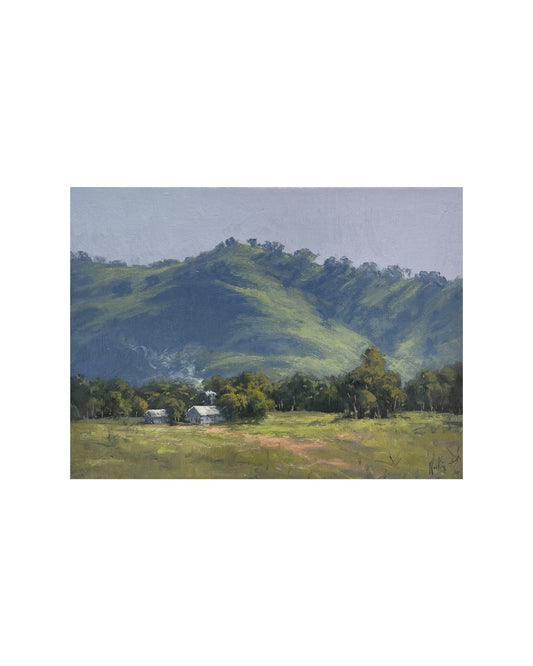 Morning Light near Windamere Dam