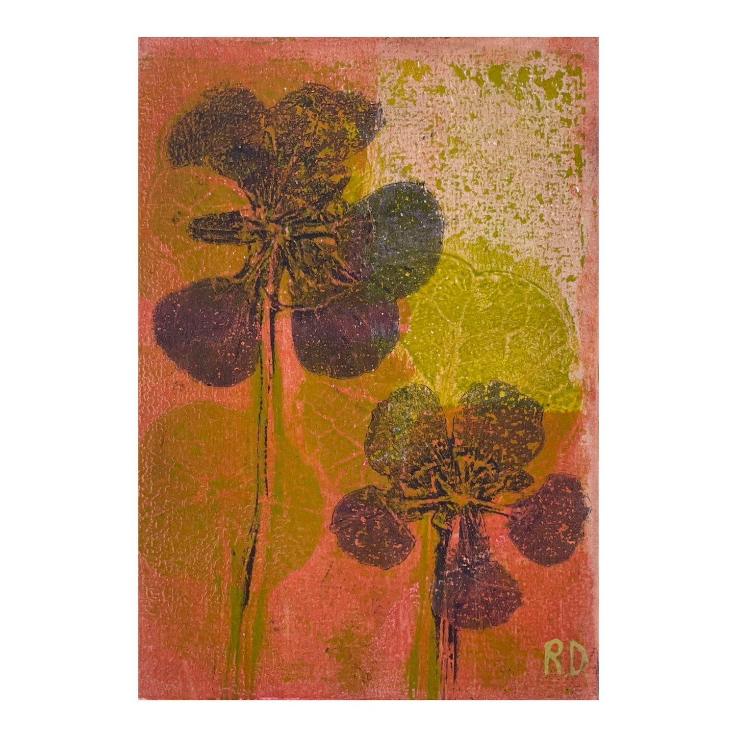 Nasturtium