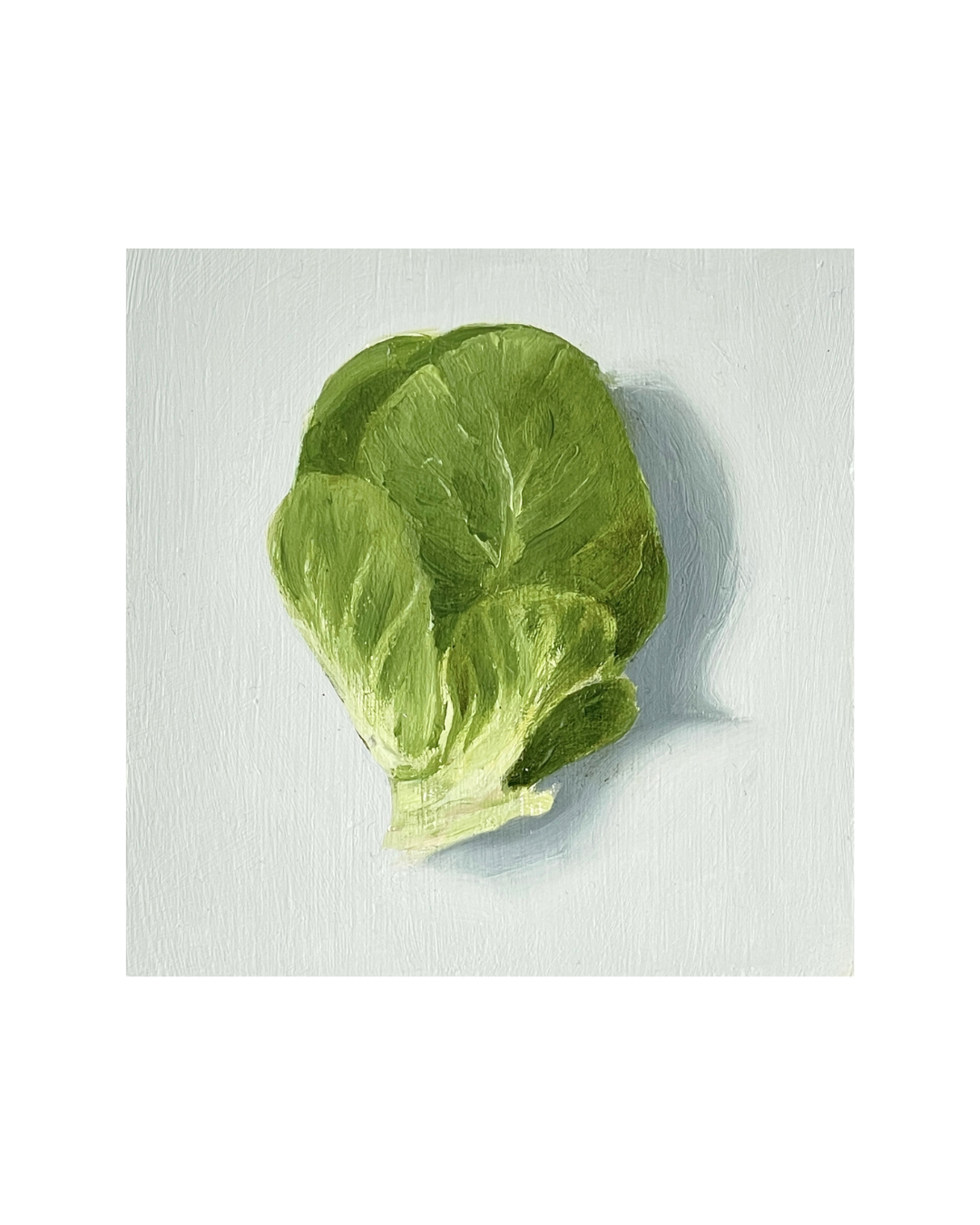 Brussel Sprout