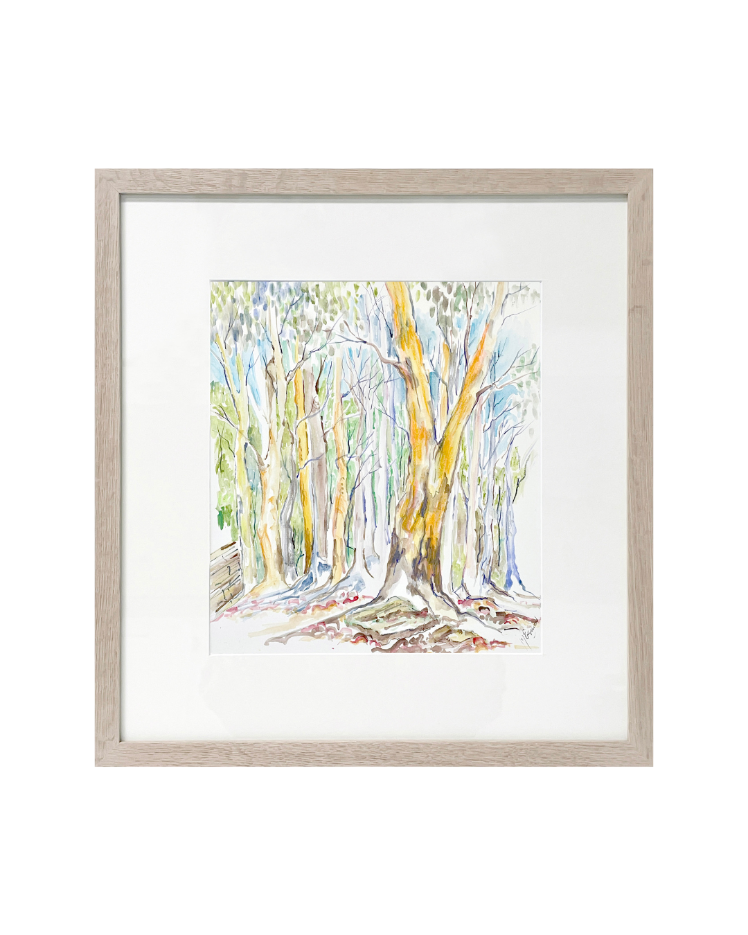 Golden Gums at Clandulla