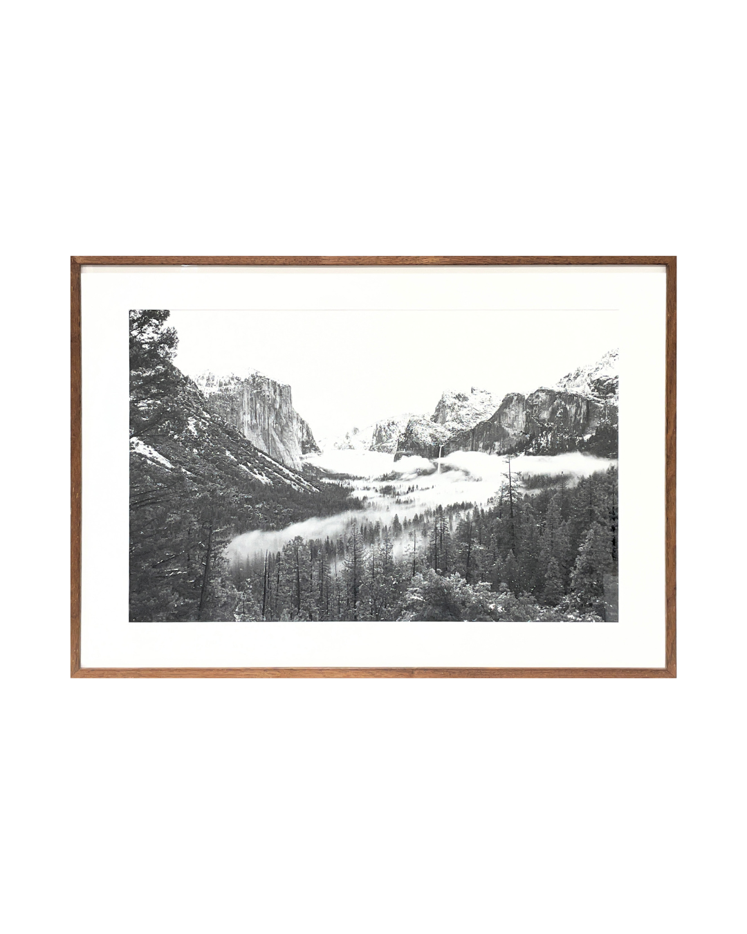 Following in Ansel's Footsteps - Yosemite 2010
