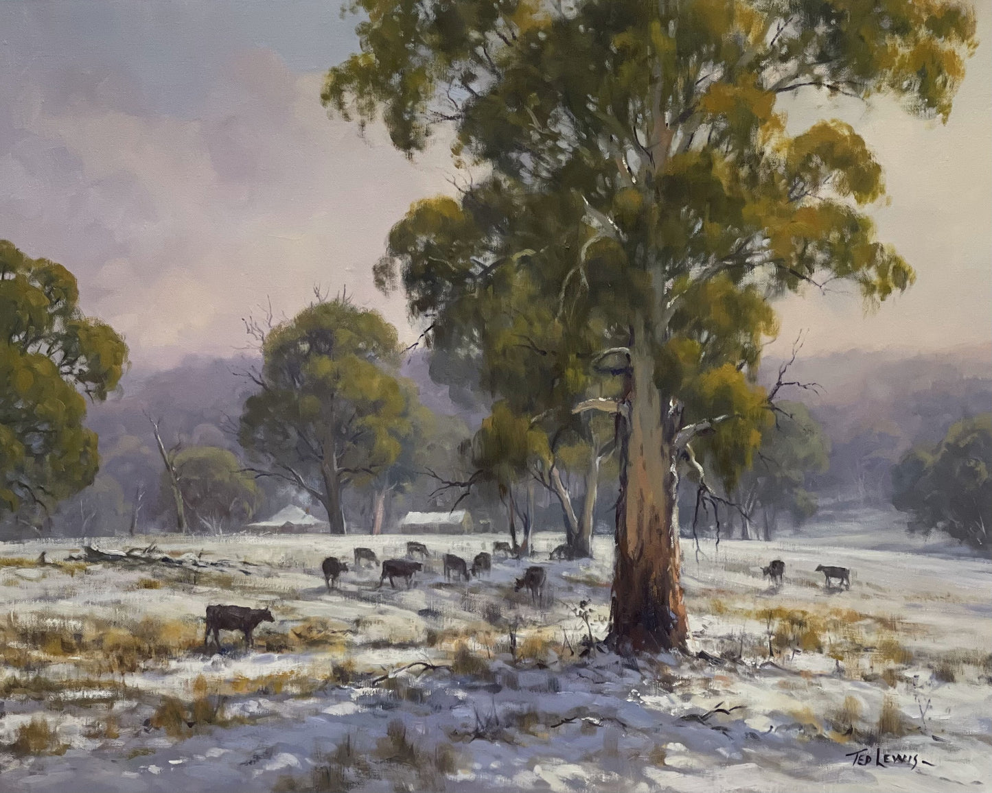 Winters snow, Mullion Creek