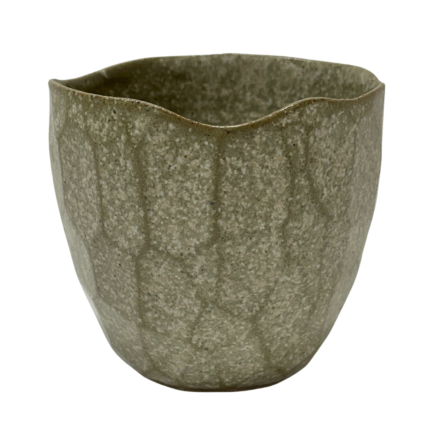 Latte Cups Eucalyptus