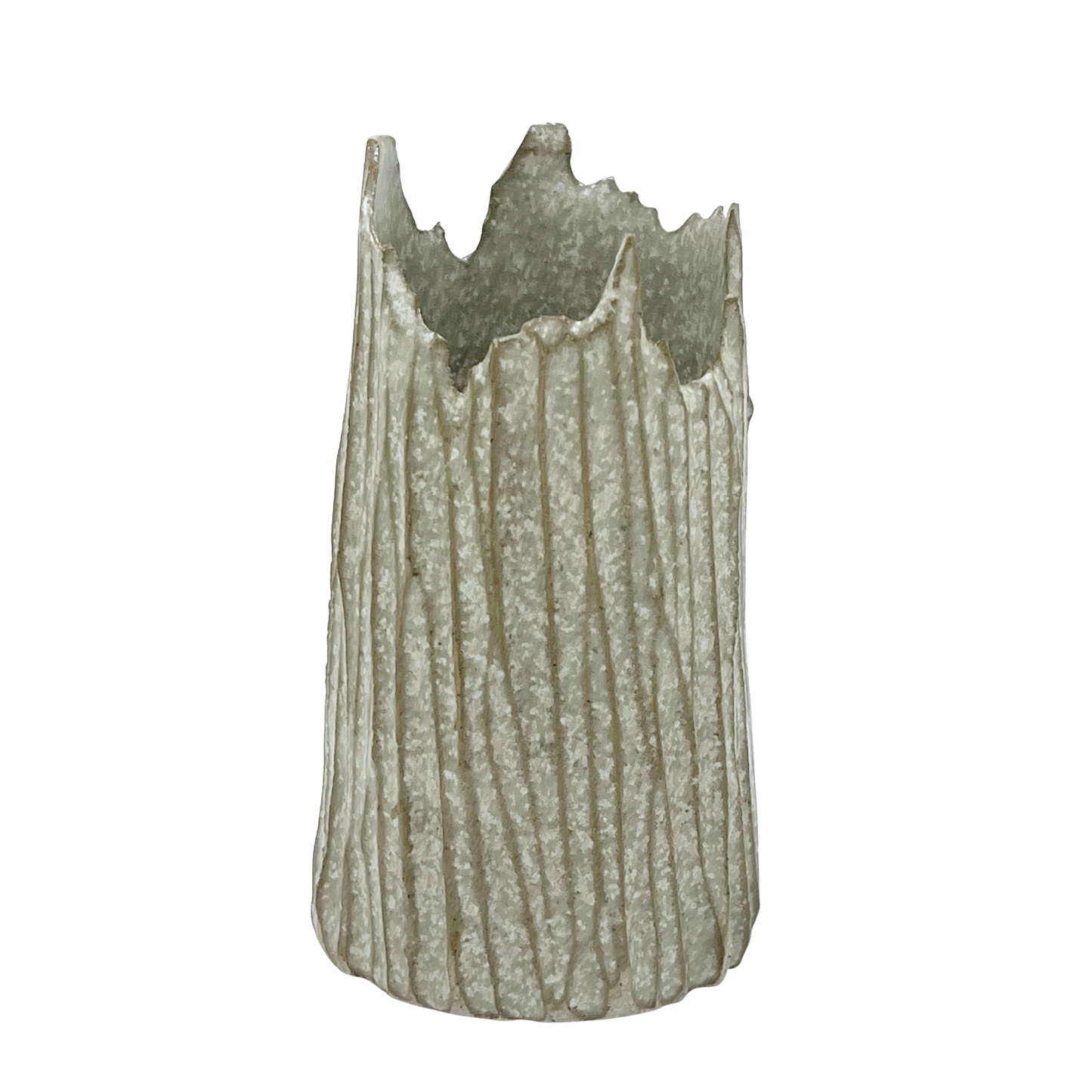 Bark Vessel