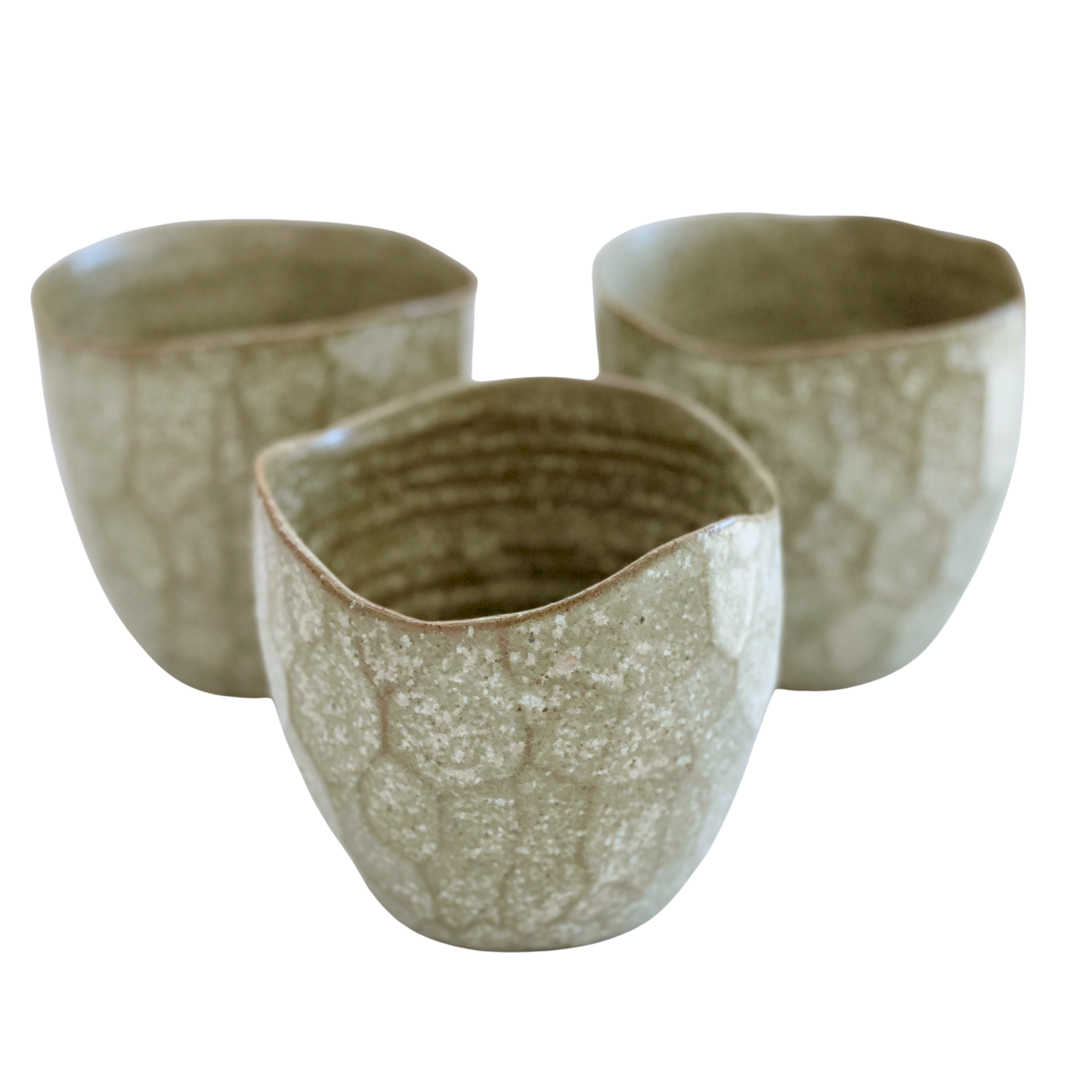 Latte Cups Eucalyptus