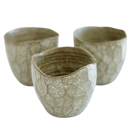 Latte Cups Eucalyptus