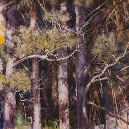 Forest's Edge