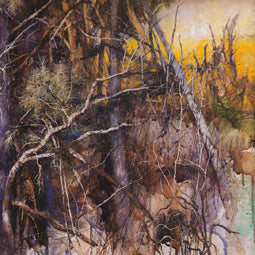 Forest's Edge