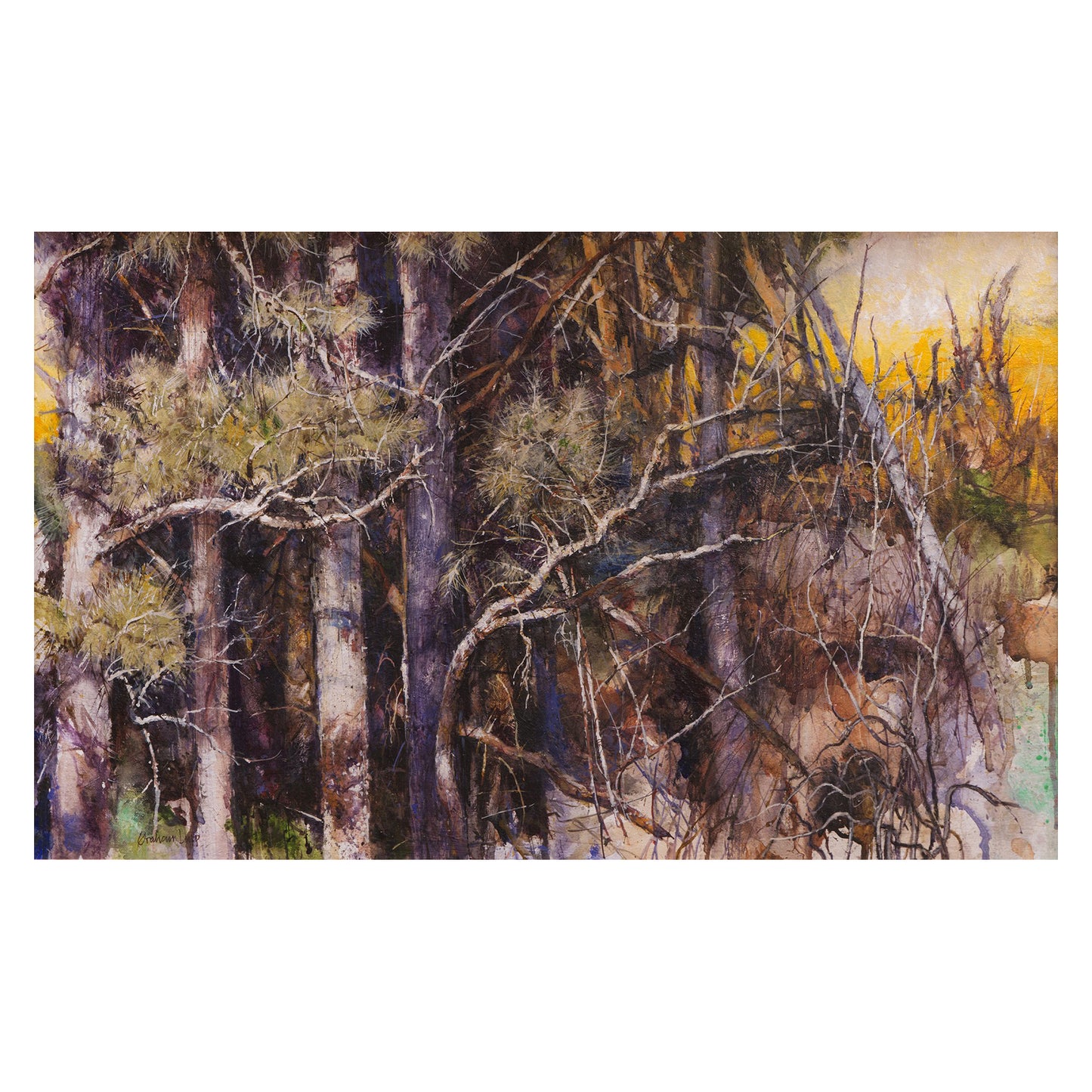 Forest's Edge