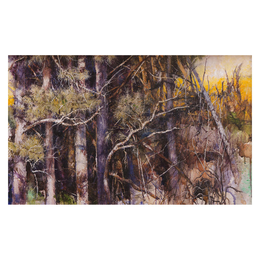 Forest's Edge