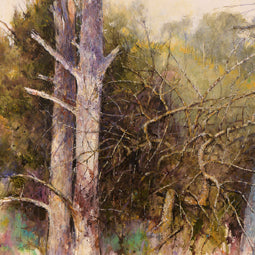 Further along Rivulet Road