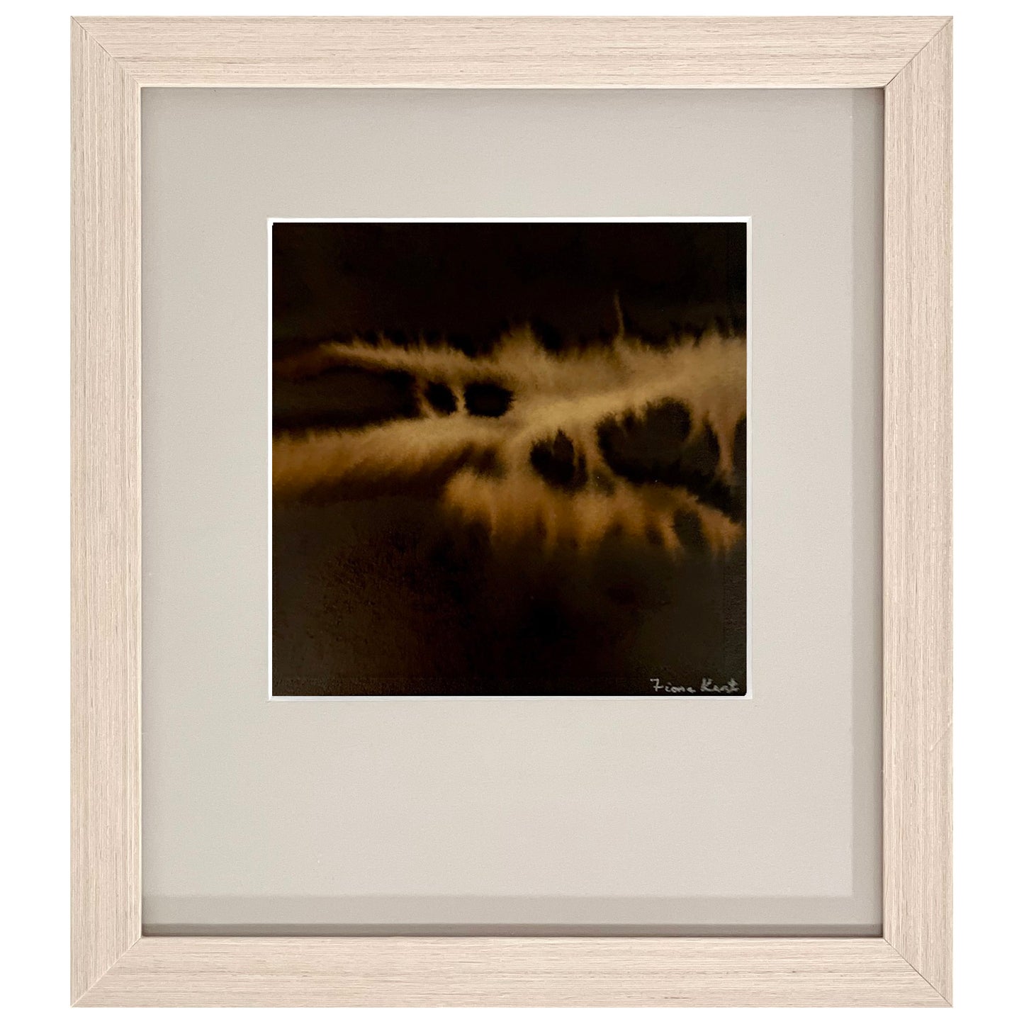 Nocturne: Paddock Night Light