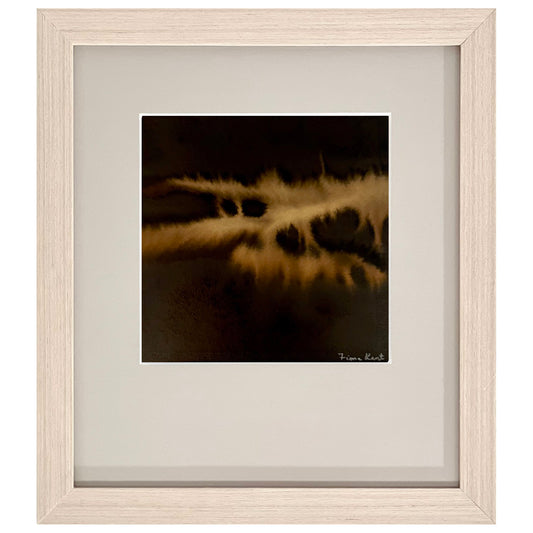 Nocturne: Paddock Night Light