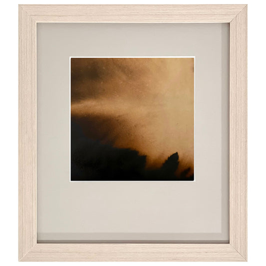 Nocturne: Bush Mist