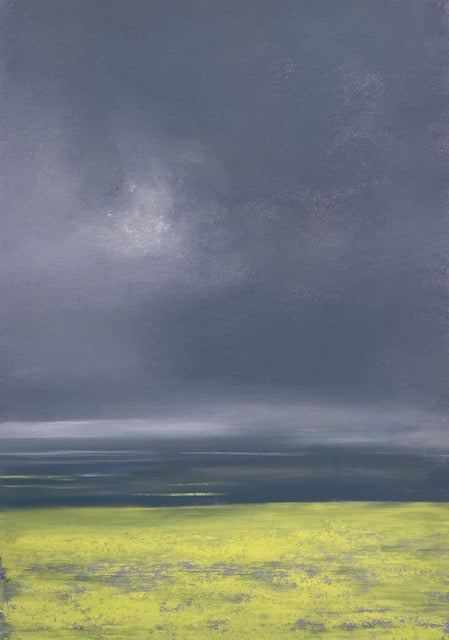 Canola Rainfields 2