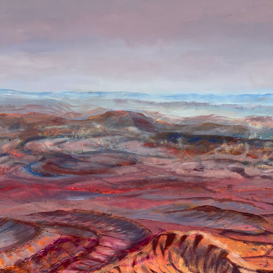 Flying North - Gammon Ranges SA