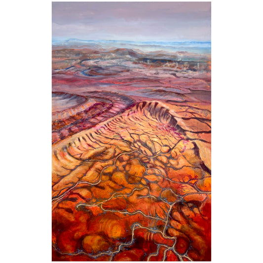 Flying North - Gammon Ranges SA