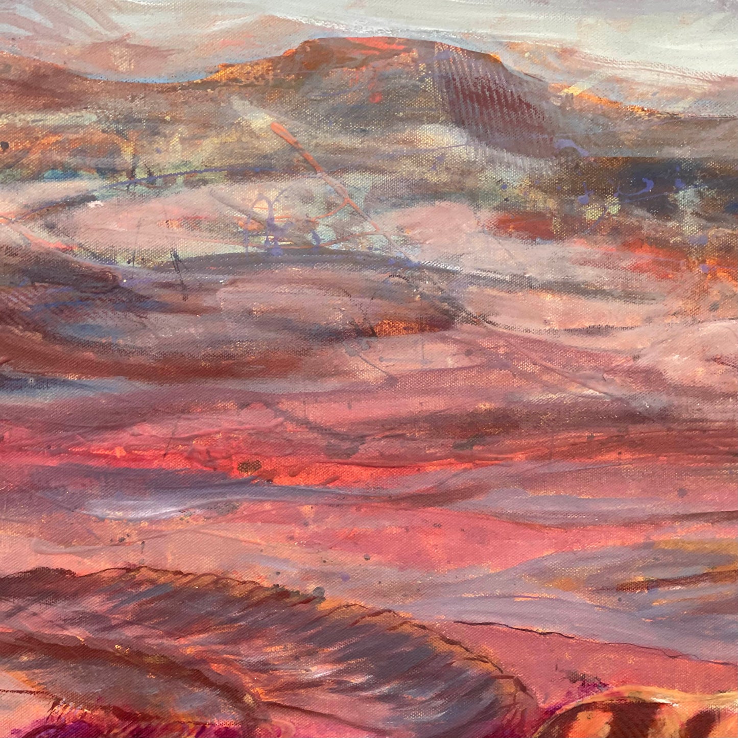 Flying North - Gammon Ranges SA