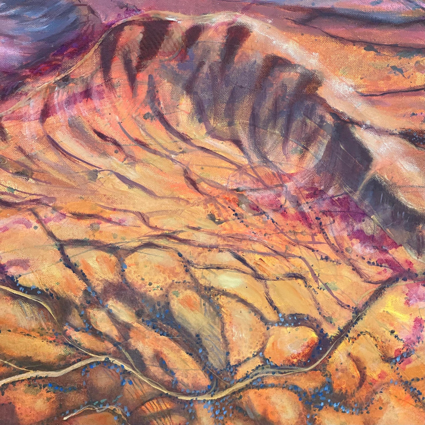 Flying North - Gammon Ranges SA