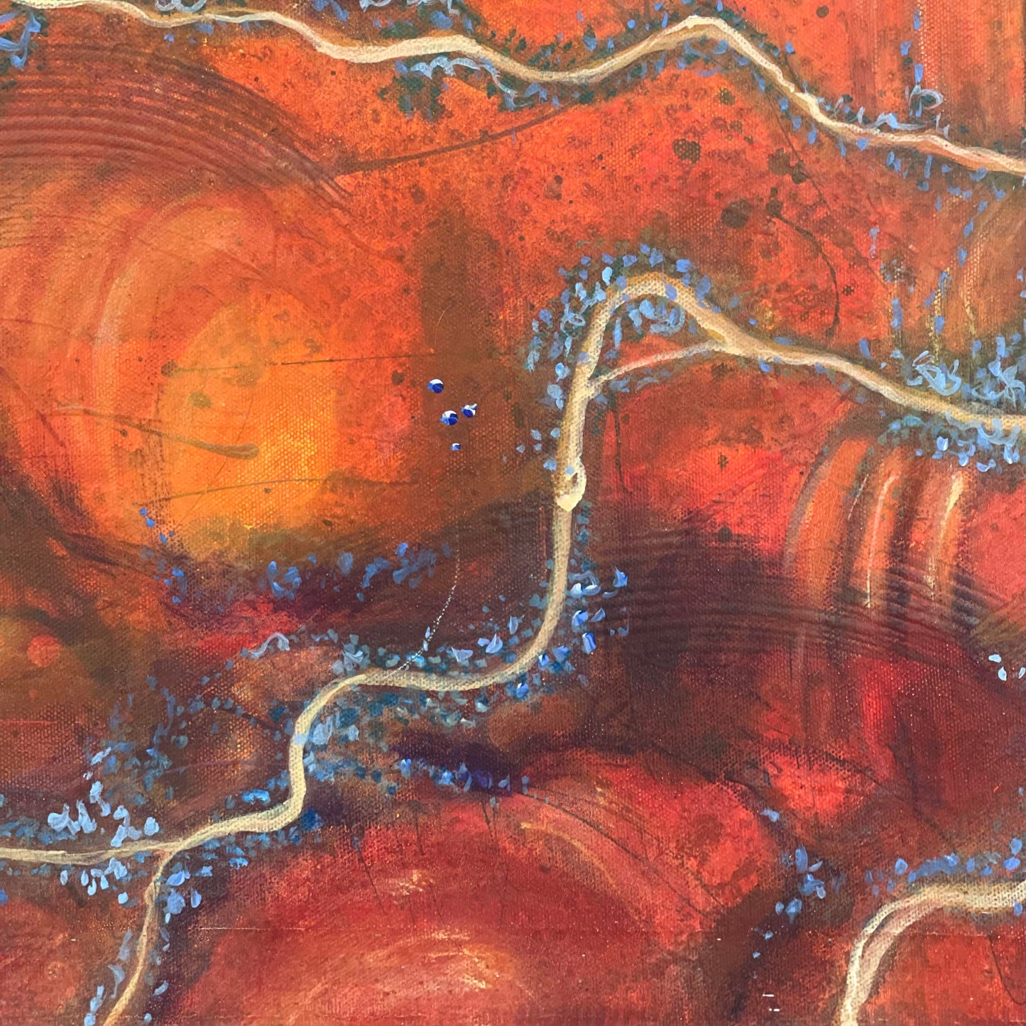 Flying North - Gammon Ranges SA