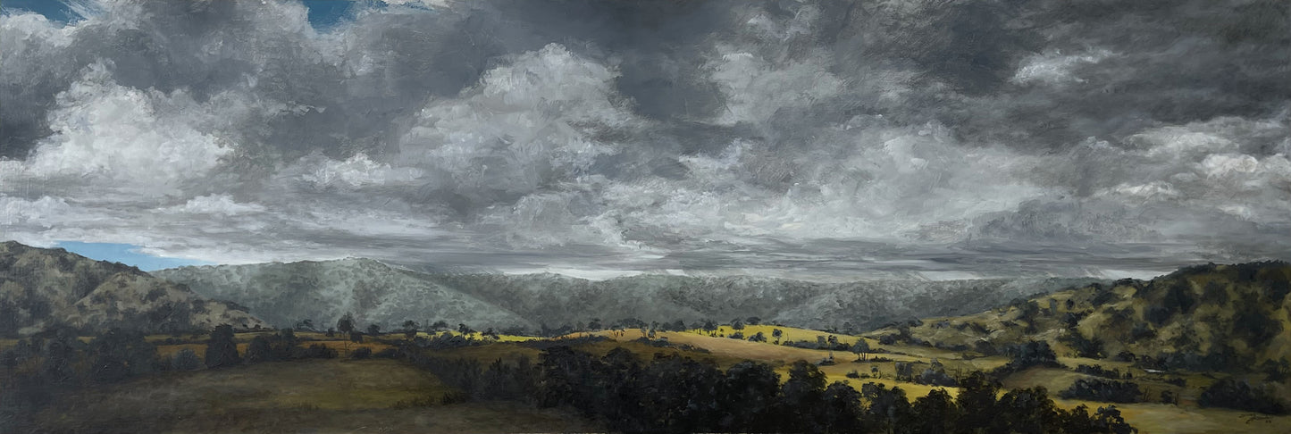 The Long View