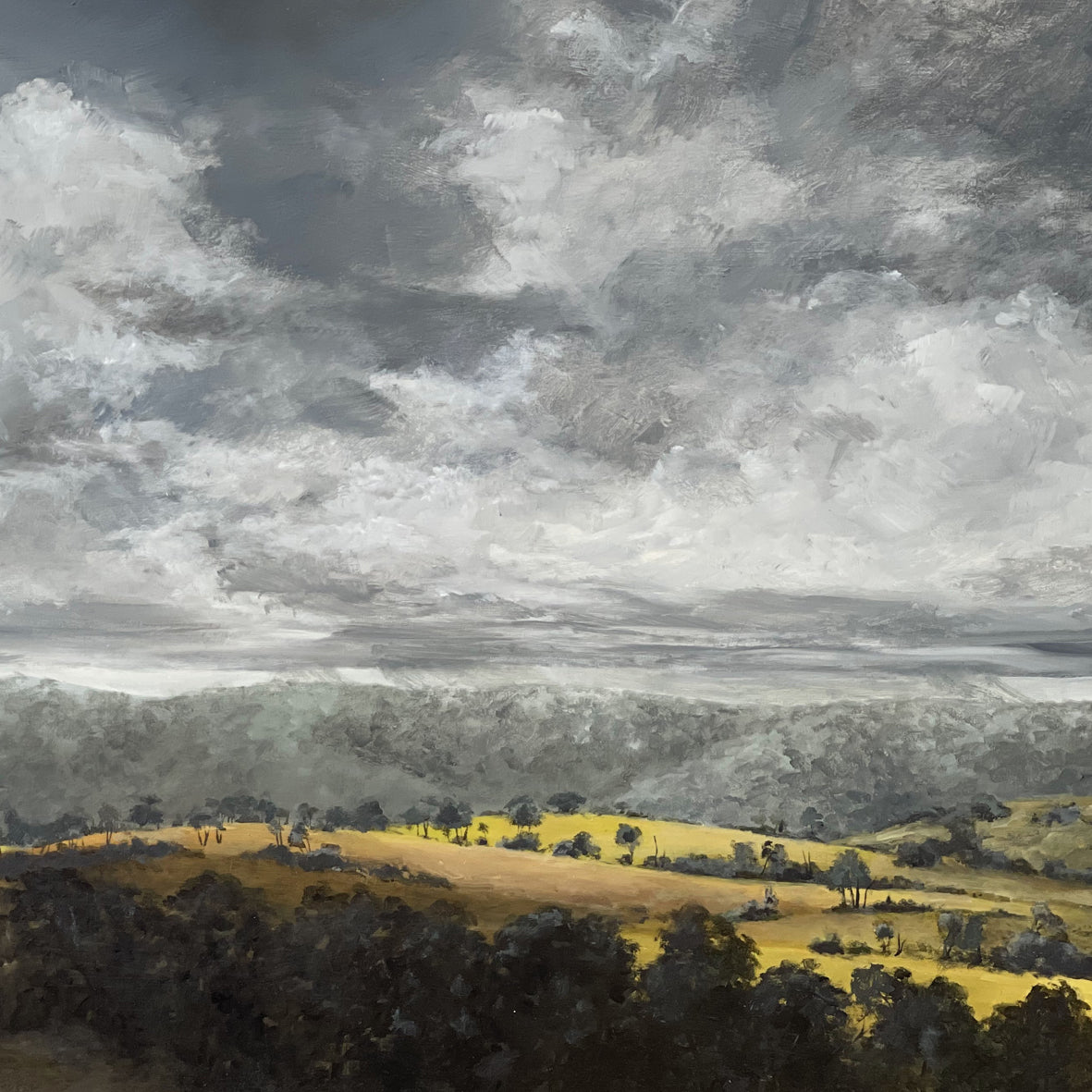 The Long View