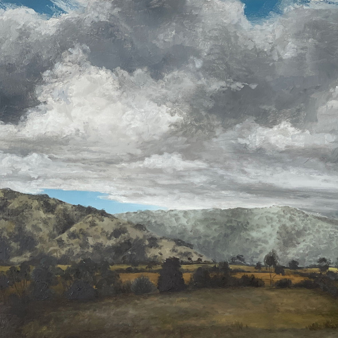 The Long View