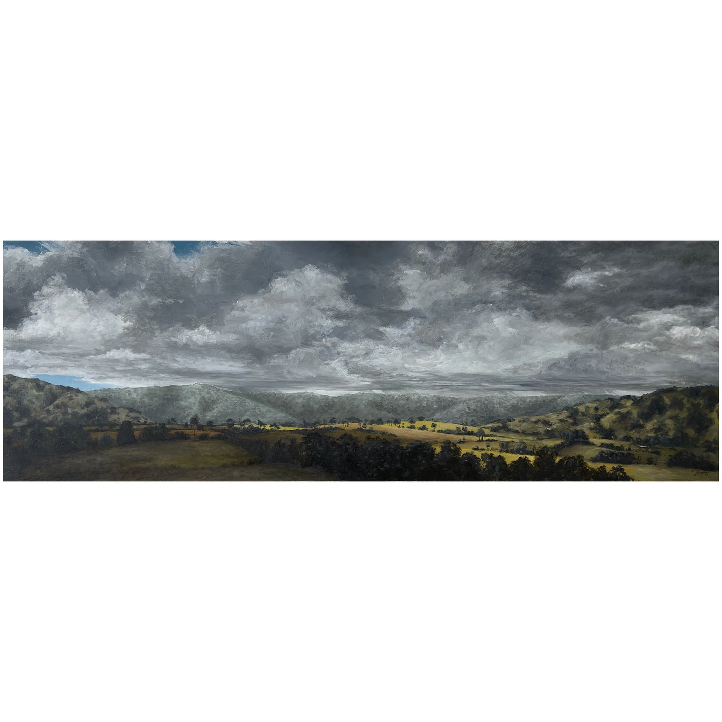 The Long View