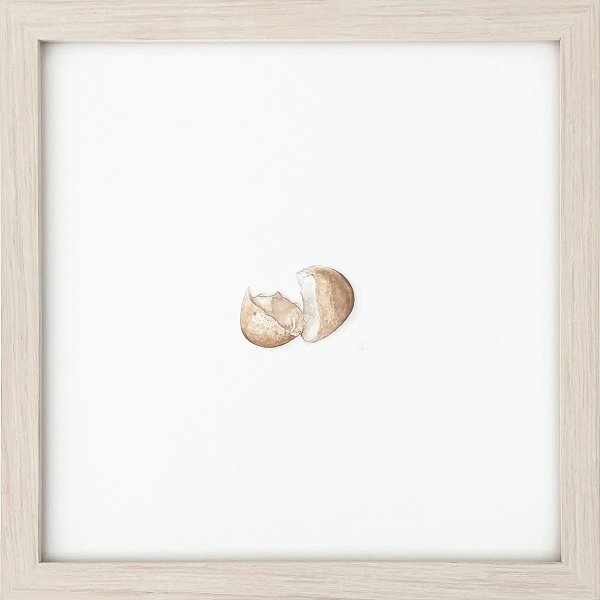 Eggshell