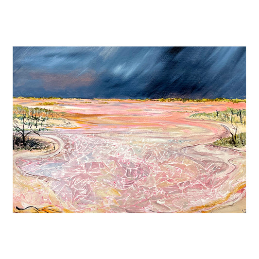 Storm over pink lake