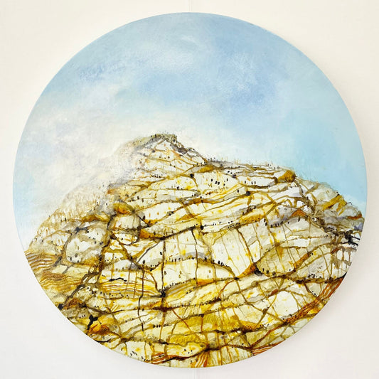 Boulder Study by Patricia Heaslip